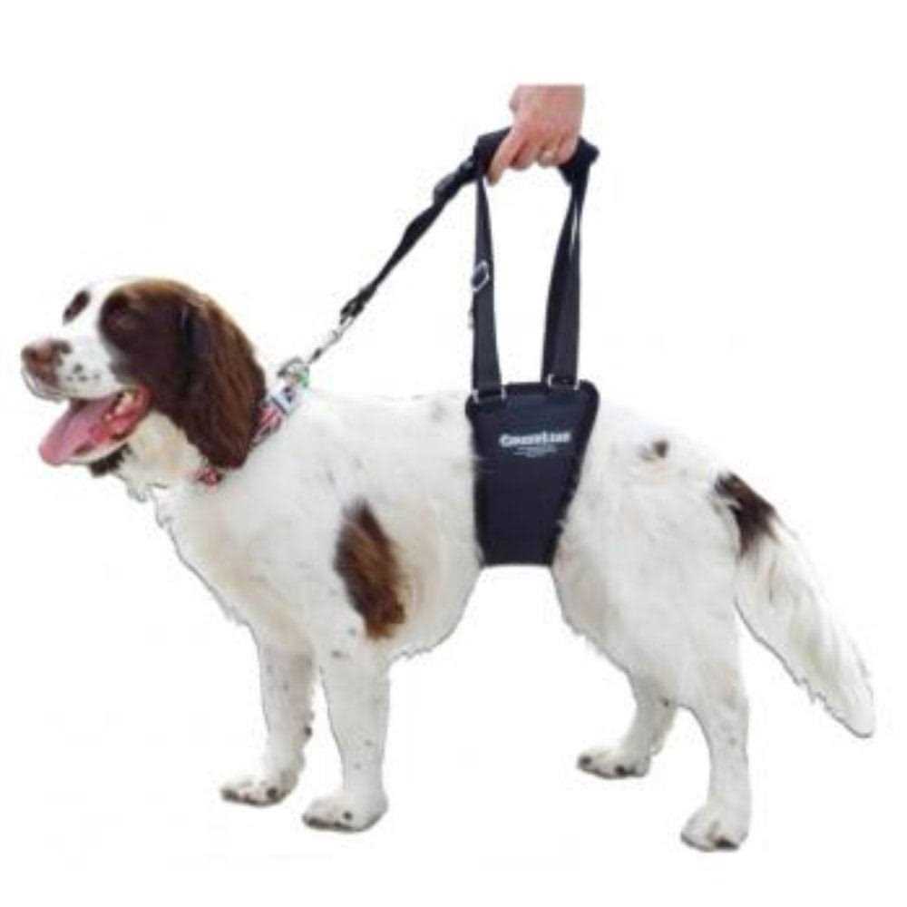 Dog Support Rehabilitation Harness Y941