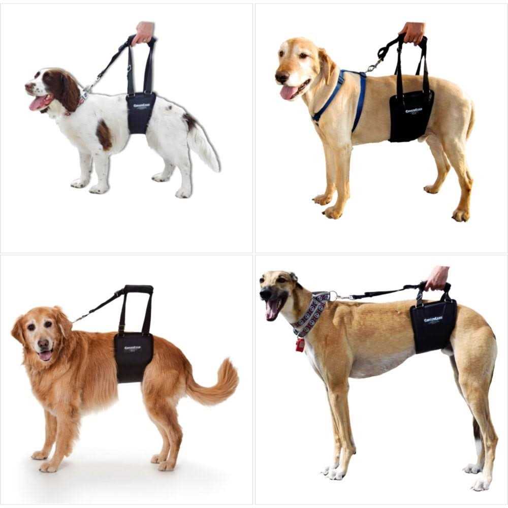 Dog Support Rehabilitation Harness Y941