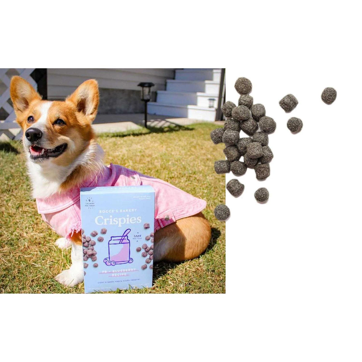 Dog Treats M662