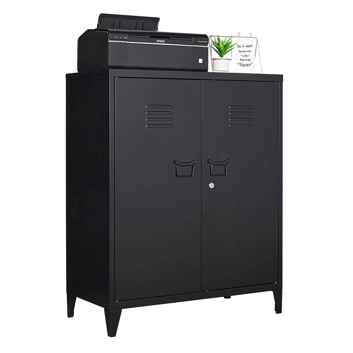 2 Door Metal Accent Cabinet with 2 Shelves, Black S579
