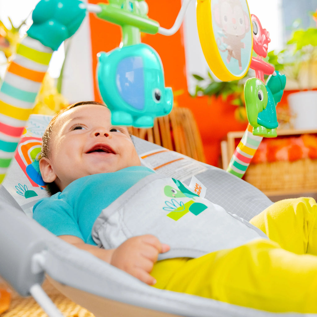 Vibrating Baby Bouncer X535249