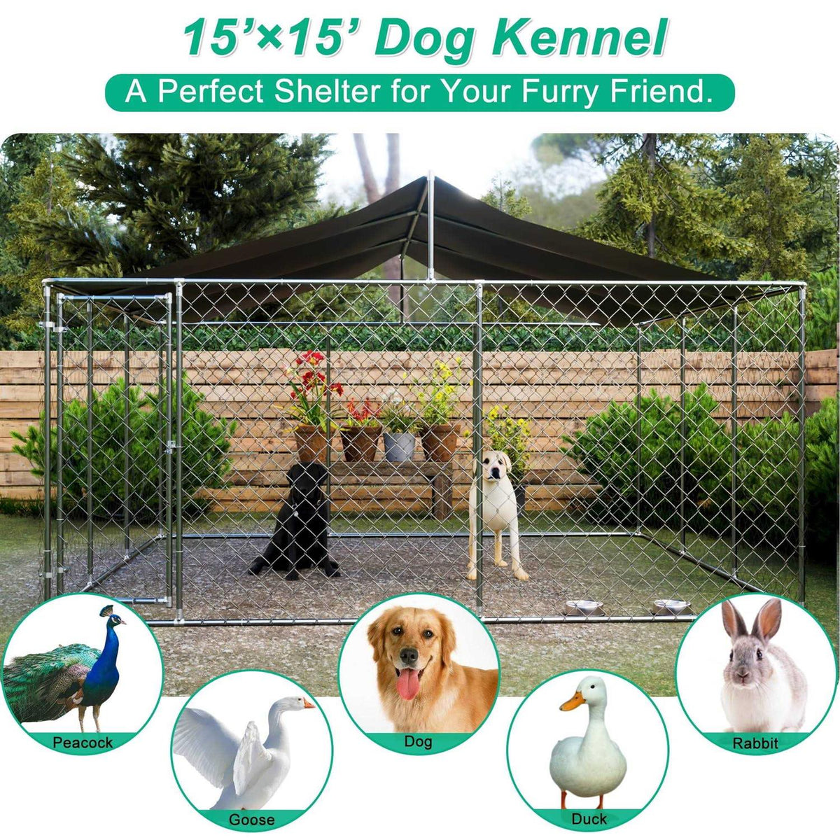15 x 15ft Dog Kennel M418
