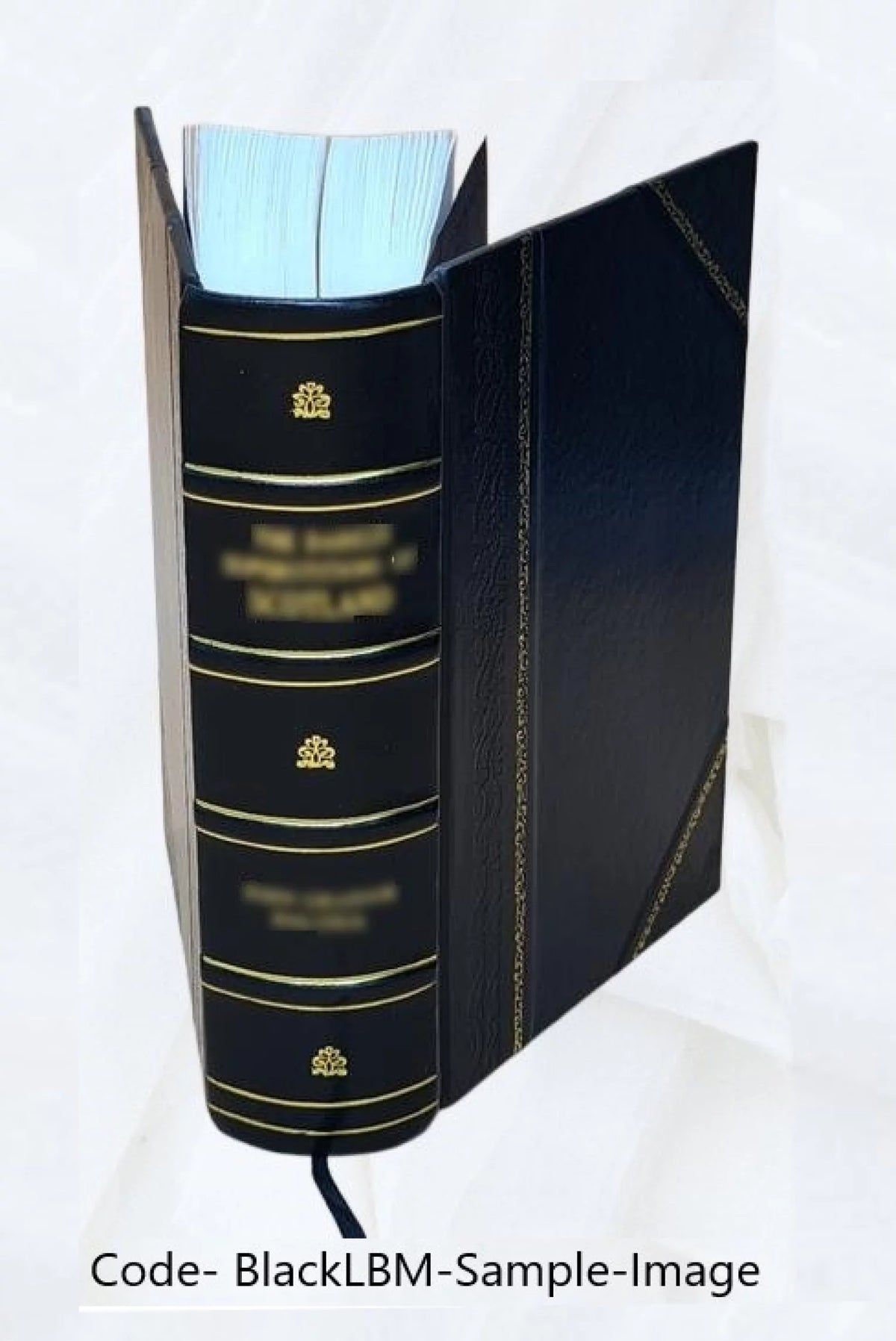 French Flemish Language Dictionary H6087