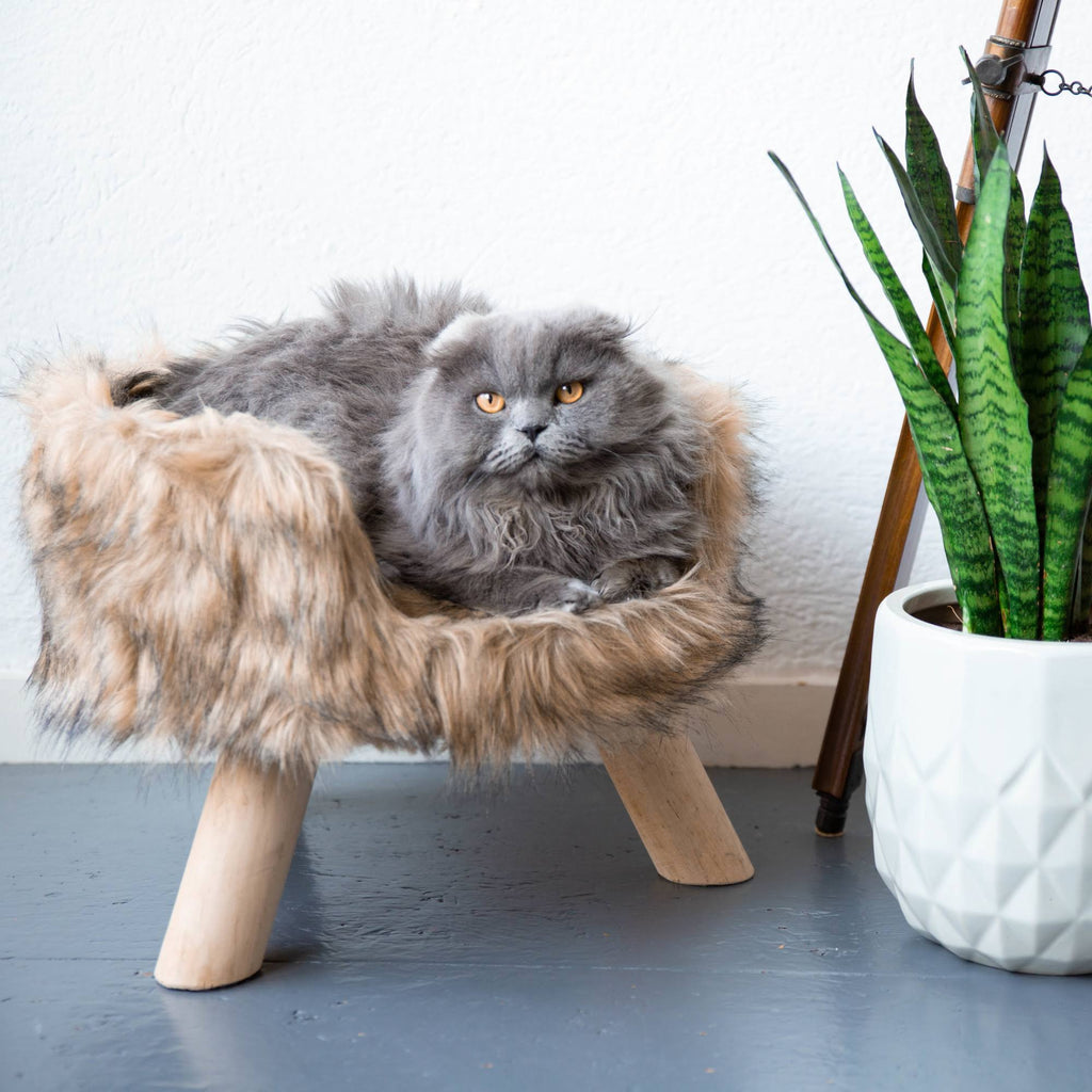 Mocca Nordic Cat Bed K740802