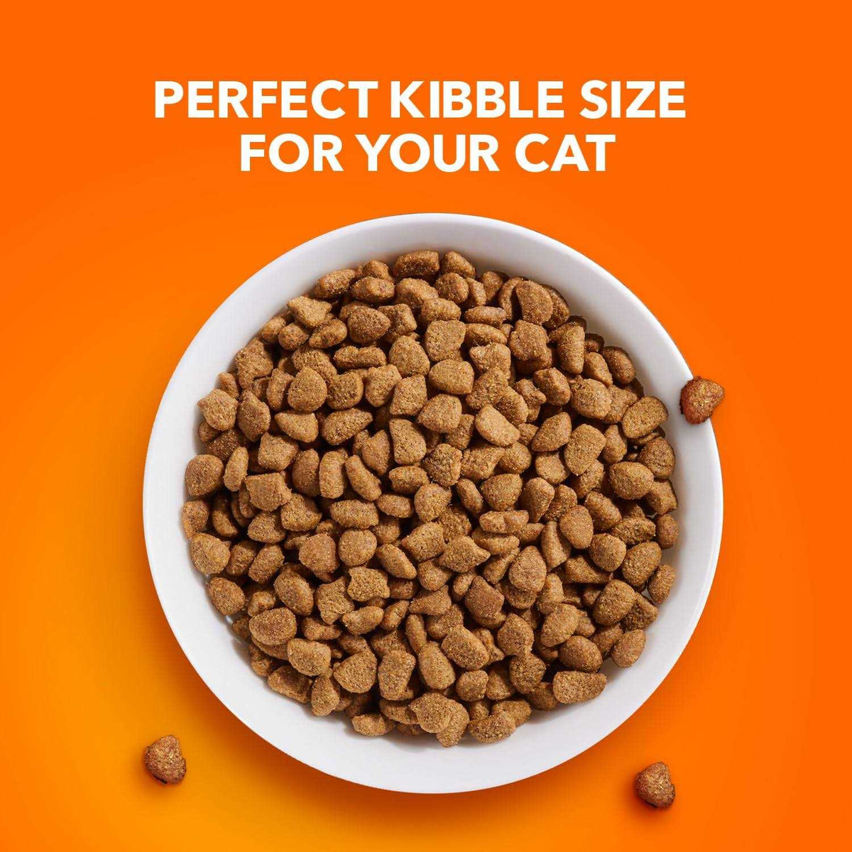 Sensitive Digestion & Skin Dry Cat Food Q84833