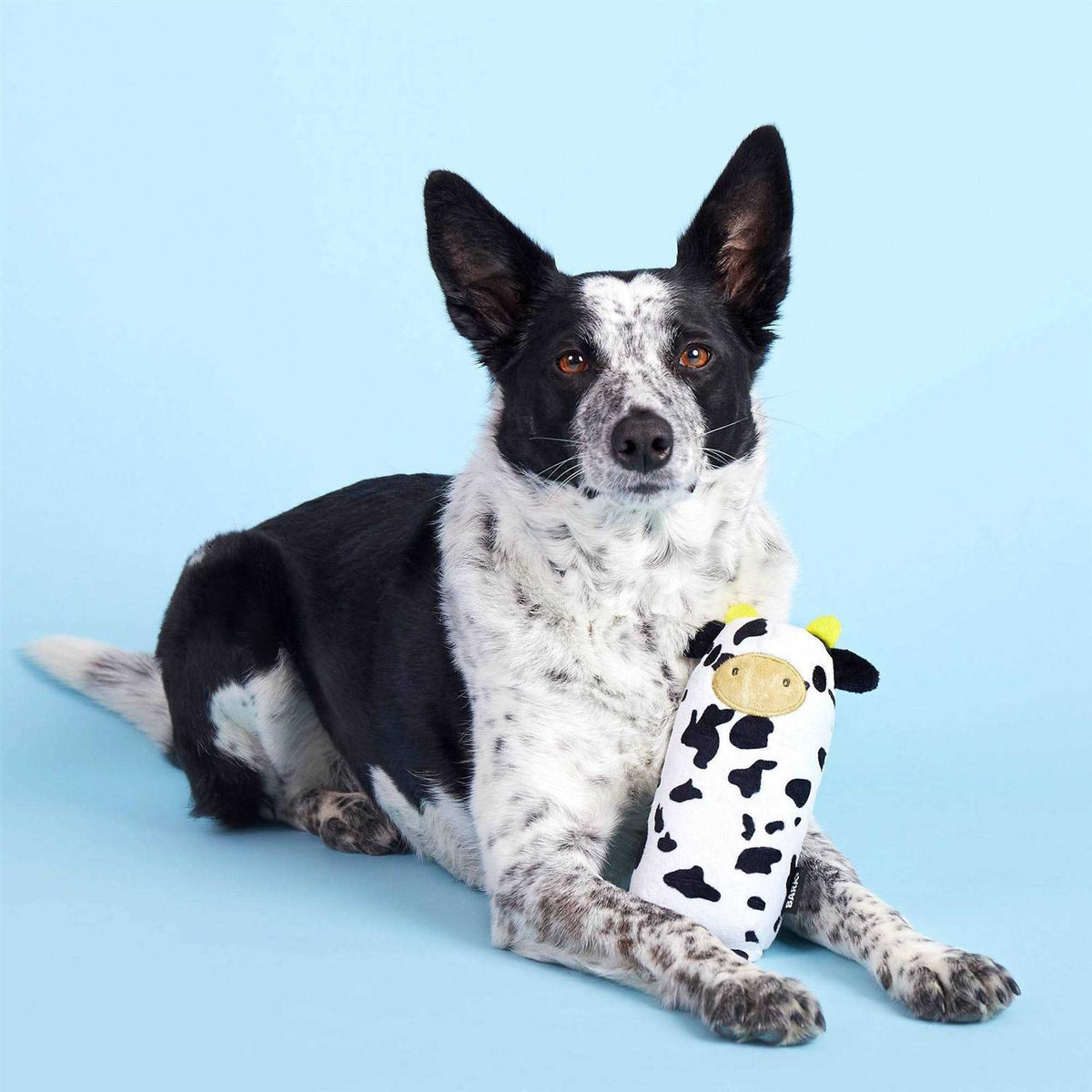Cow Dog Toy N735