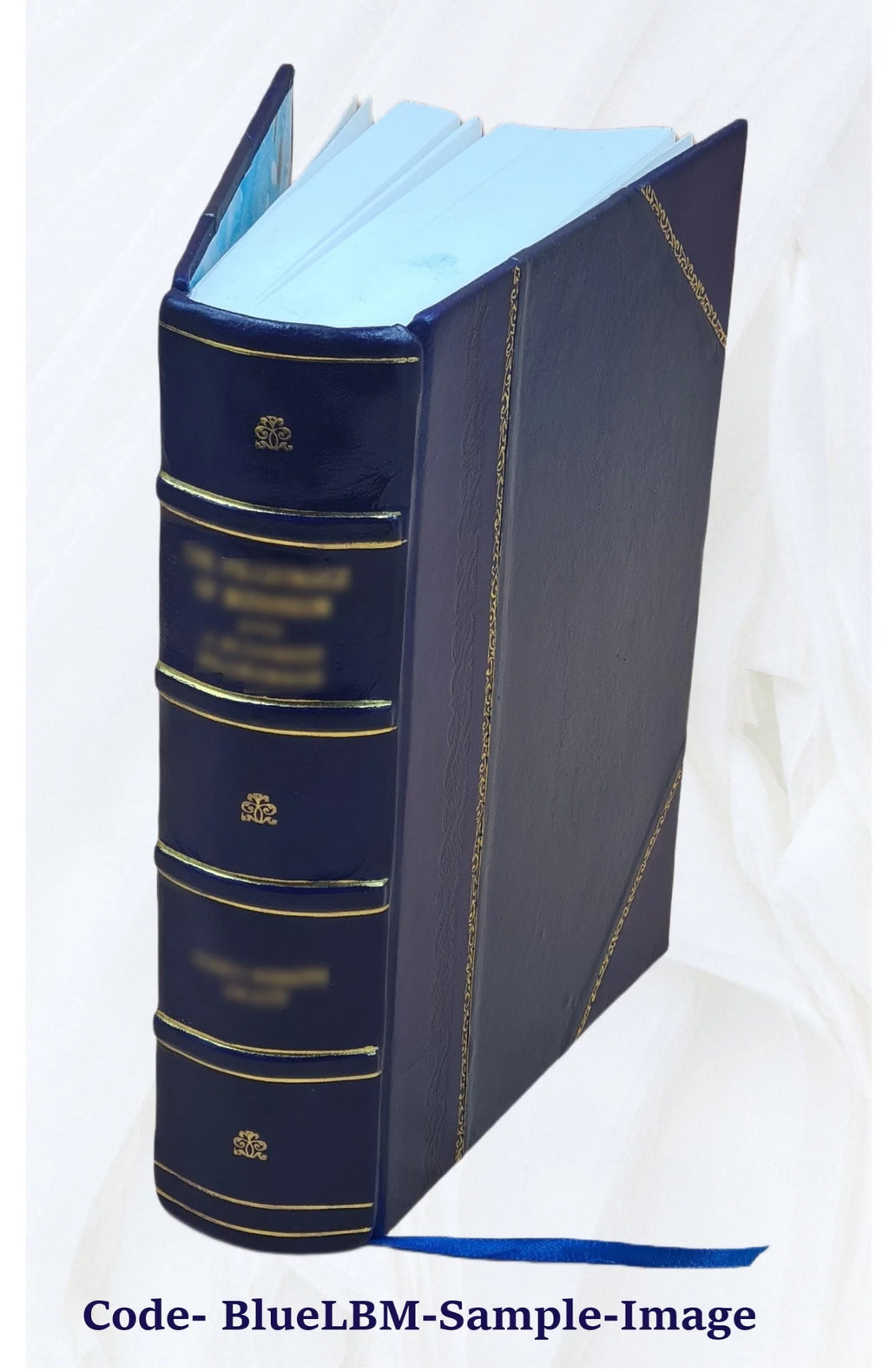 French Flemish Language Dictionary H6087