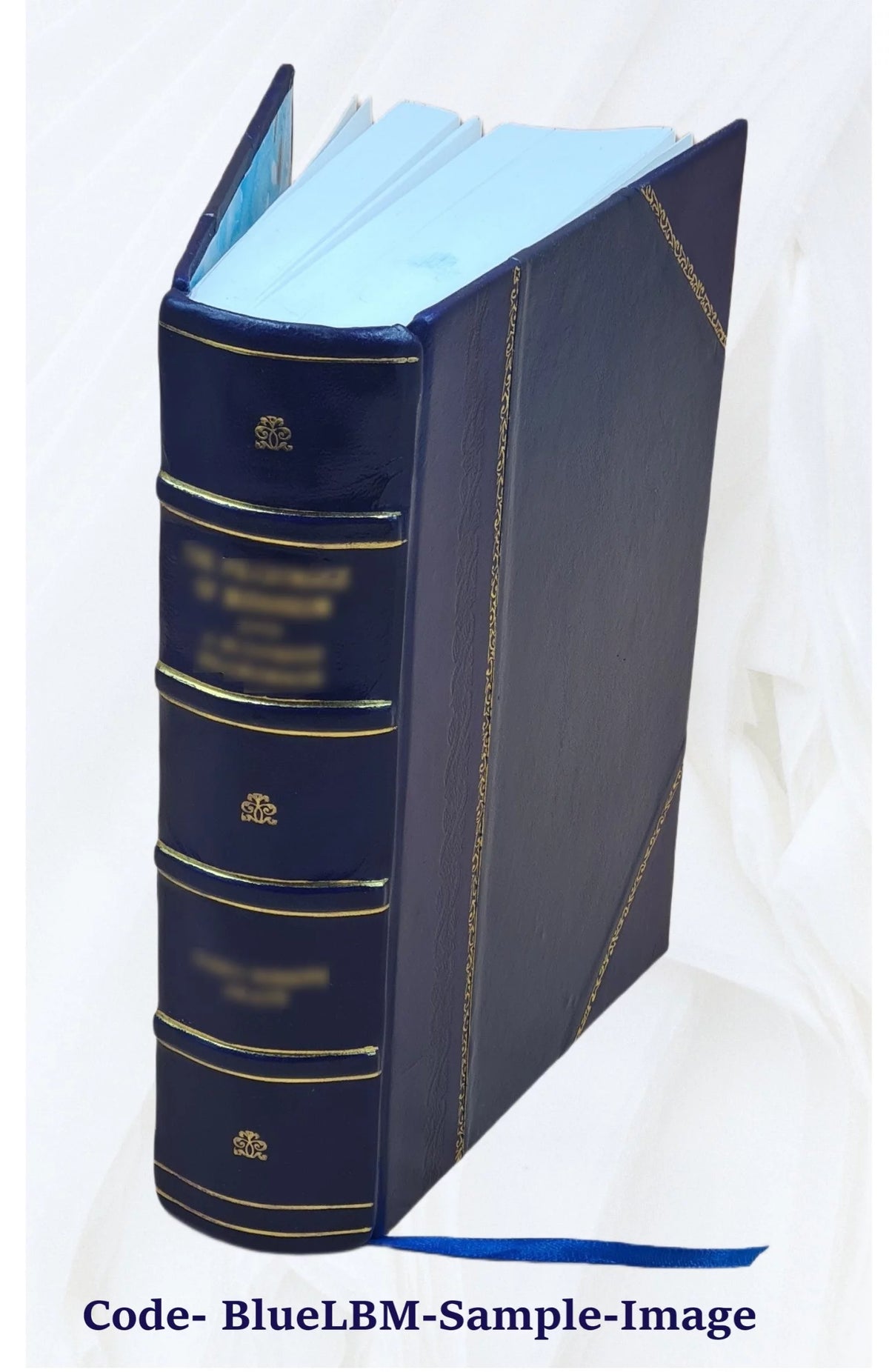 French Flemish Language Dictionary H6087