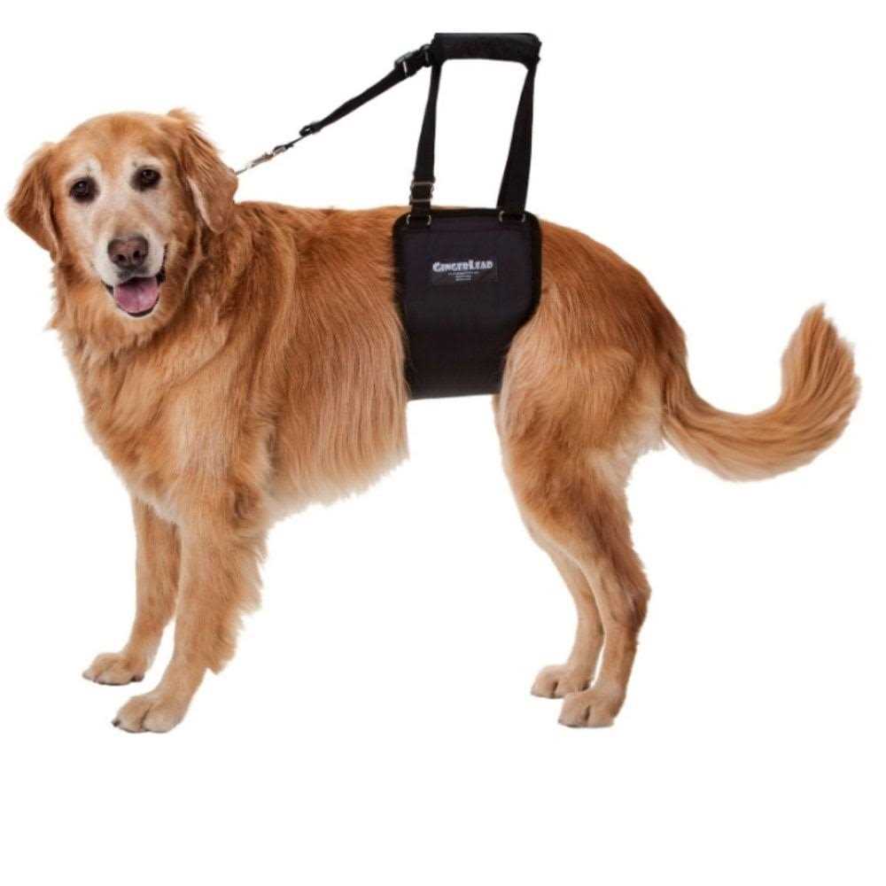 Dog Support Rehabilitation Harness Y941