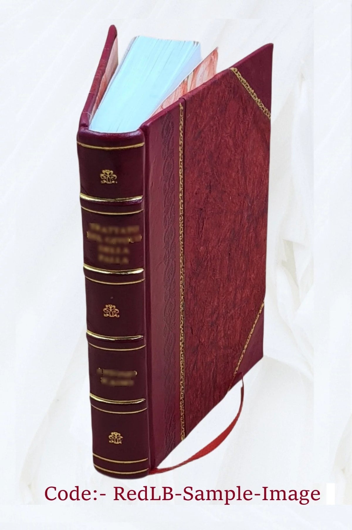 Guarani Language Catechism and Vocabulary Leather Bound Q22413
