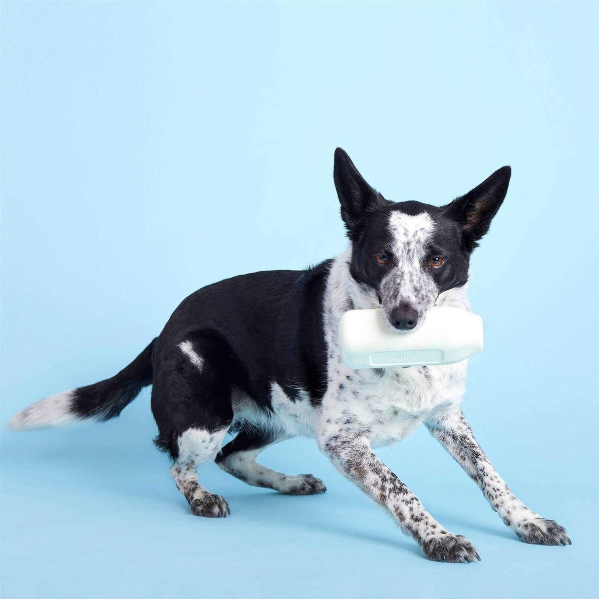 Cow Dog Toy N735
