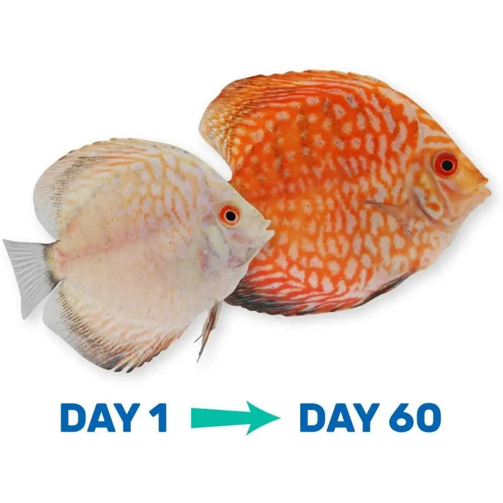 Tropical Fish Food M2847