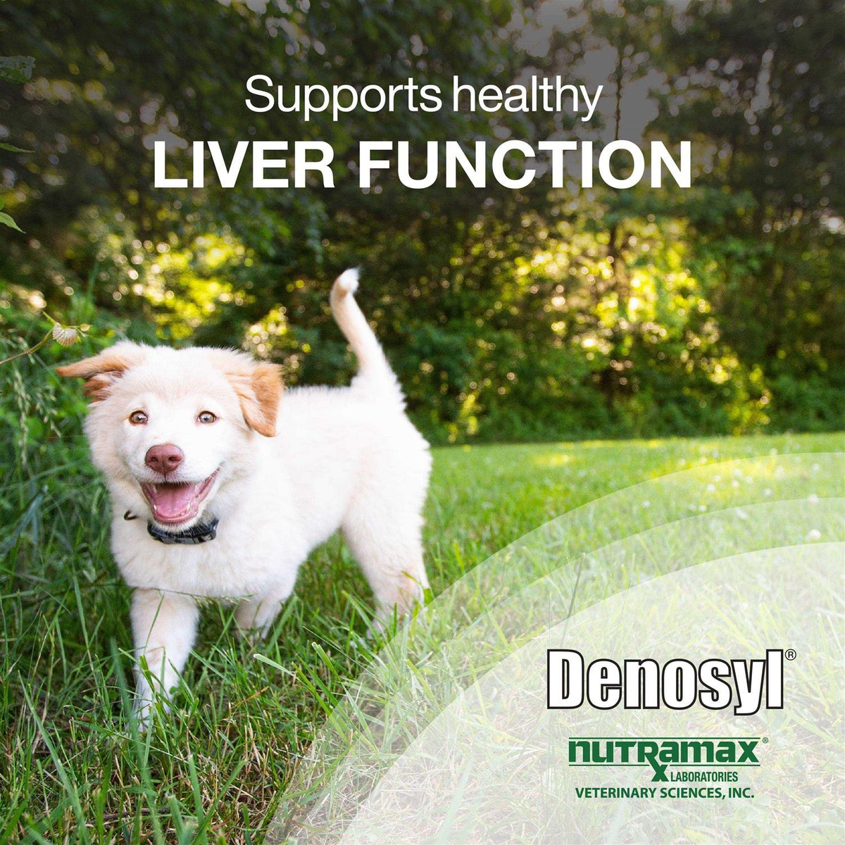 Denosyl Tablets Liver & Brain Supplement for Medium Dogs Q9504