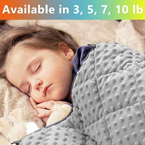 3 lb 36x48 Polyester Minky Weighted Blanket H825780