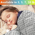 3 lb 36x48 Polyester Minky Weighted Blanket H825780