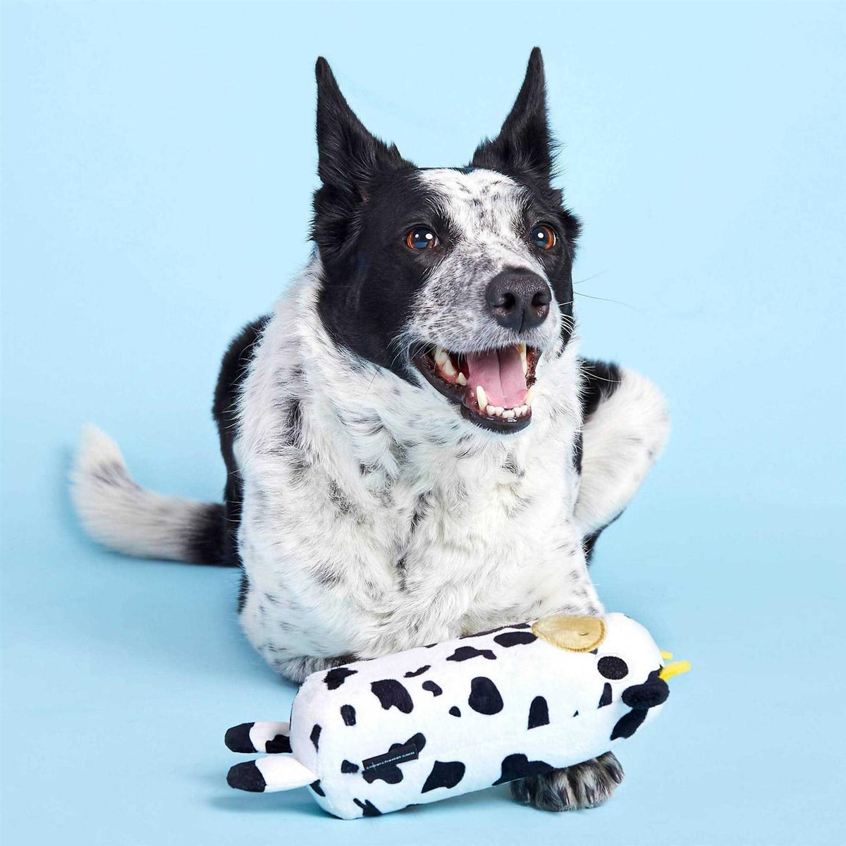 Cow Dog Toy N735