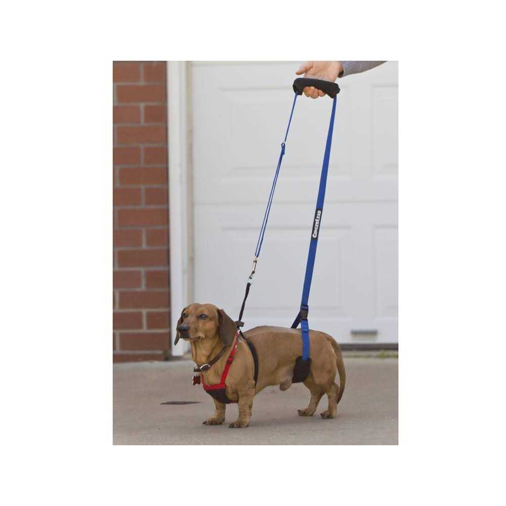 Dog Support Rehabilitation Harness Y941