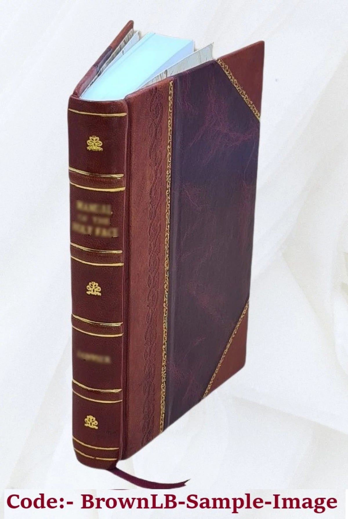 Guarani Language Catechism and Vocabulary Leather Bound Q22413