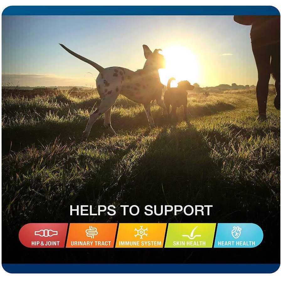 5-in-One Soft Chews for Dogs V328623