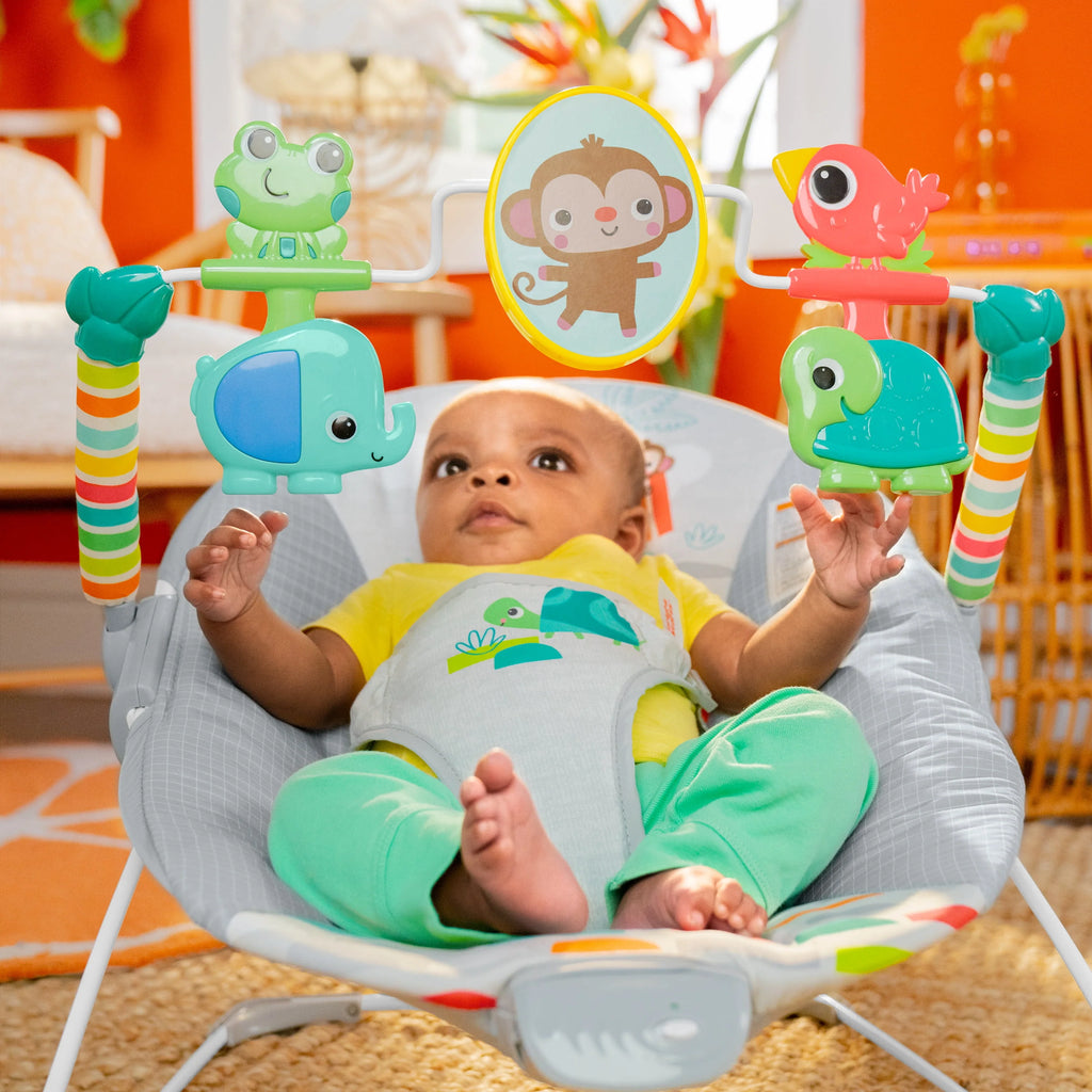 Vibrating Baby Bouncer X535249