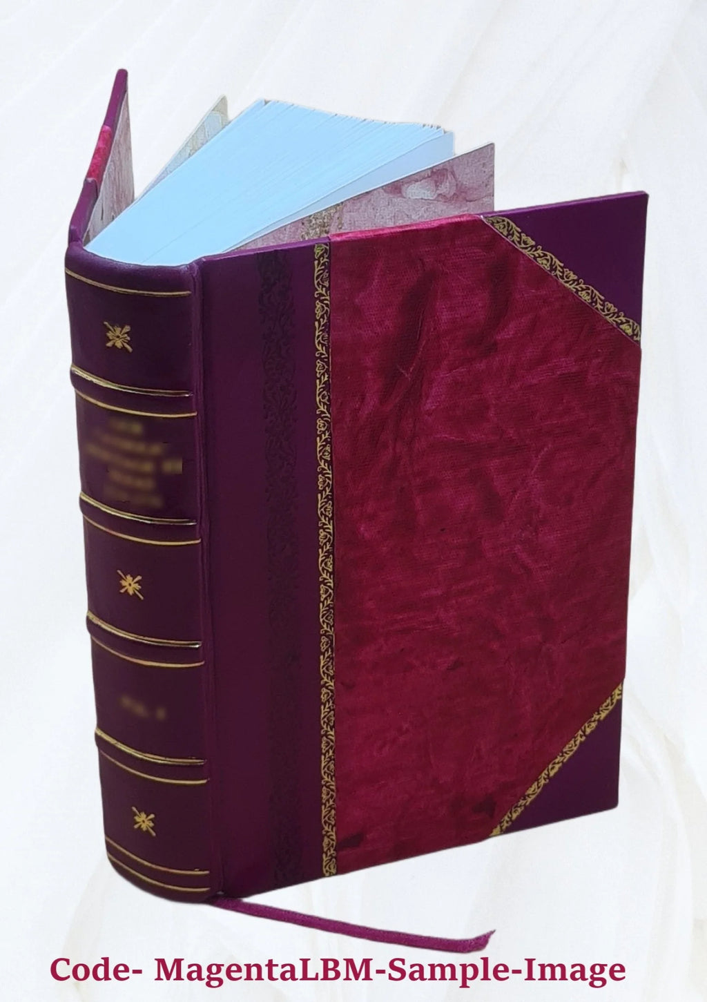 French Flemish Language Dictionary H6087