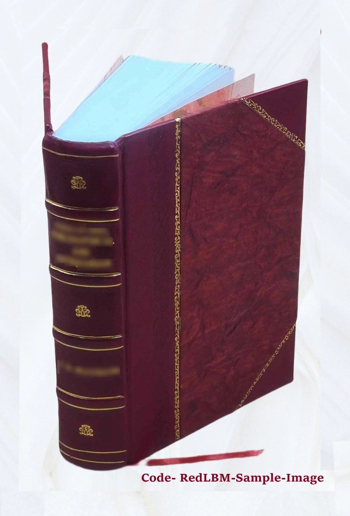 French Flemish Language Dictionary H6087