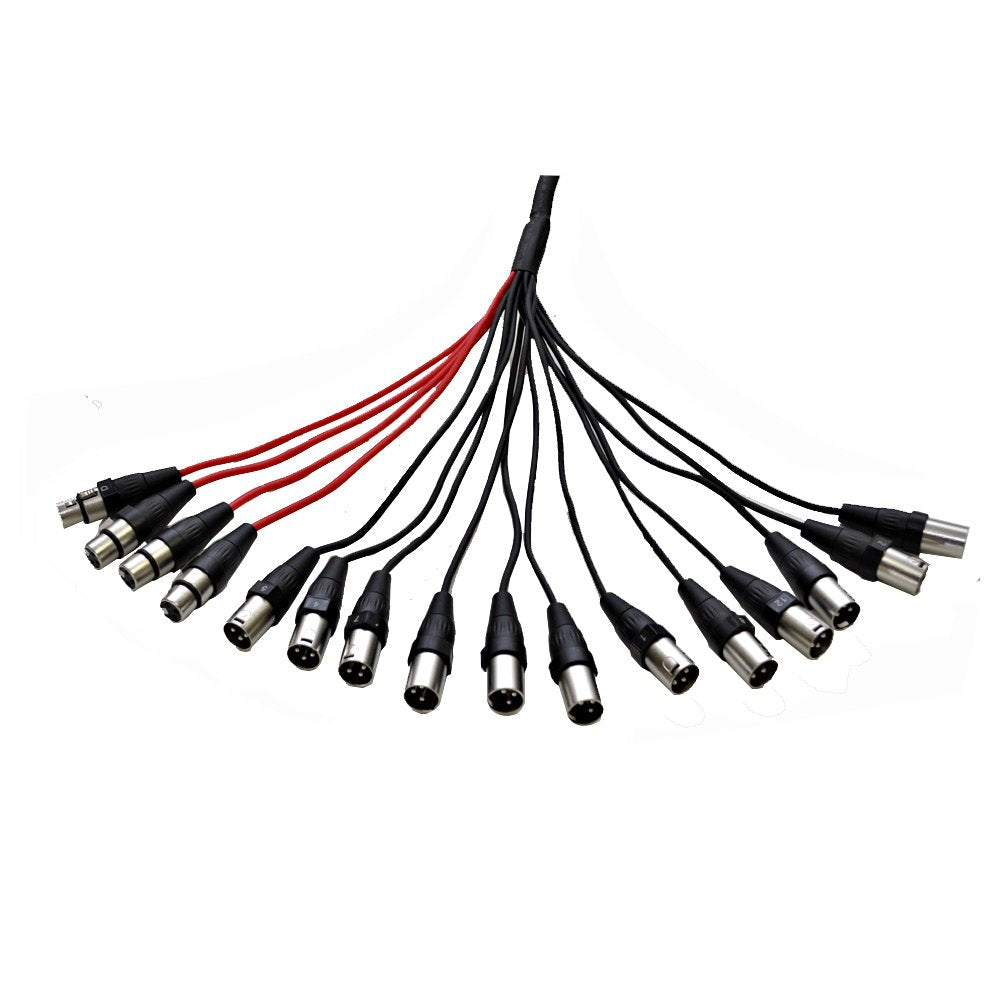 12-Channel XLR Low Profile Circuit Board Snake Cable, 100-Feet U439878