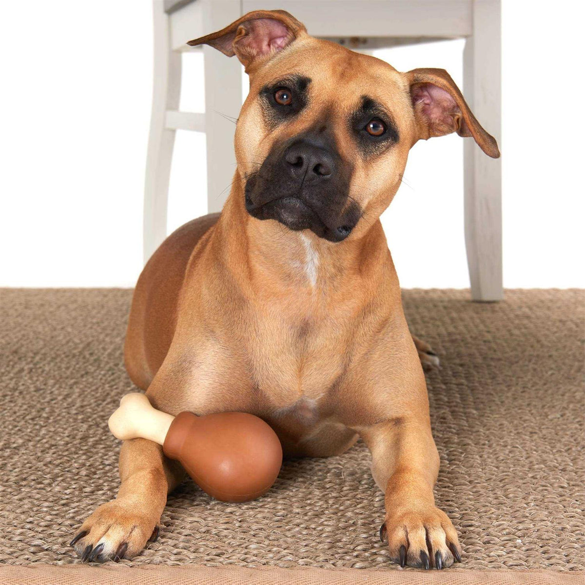 Super Chewer Drumstick Dog Toy O9616