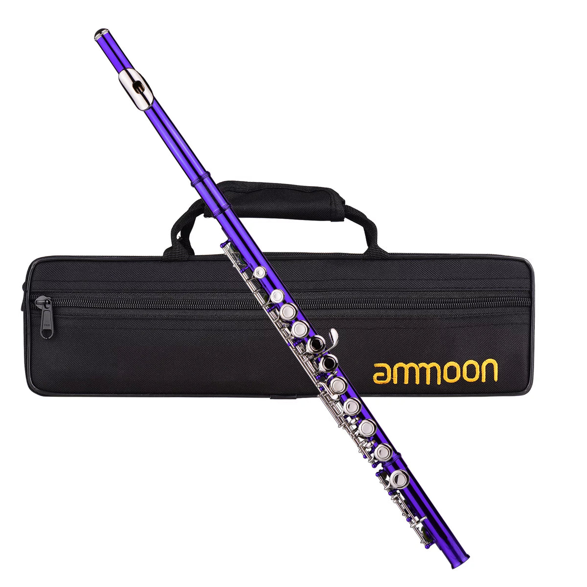 16 Keys Cupronickel Nickel-plated Closed Hole C Flute with Carry Case J783