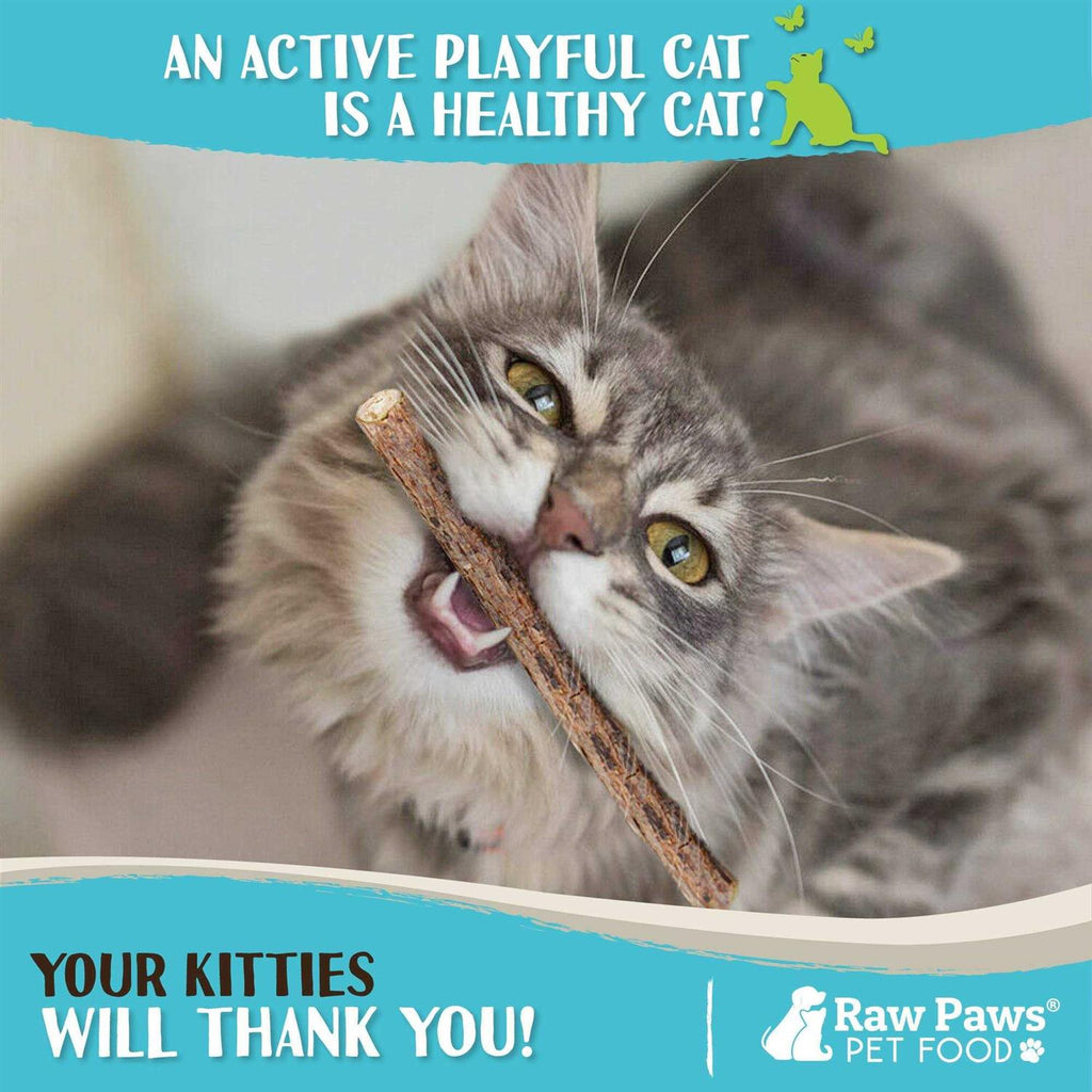 Silvervine Cat Toys J612