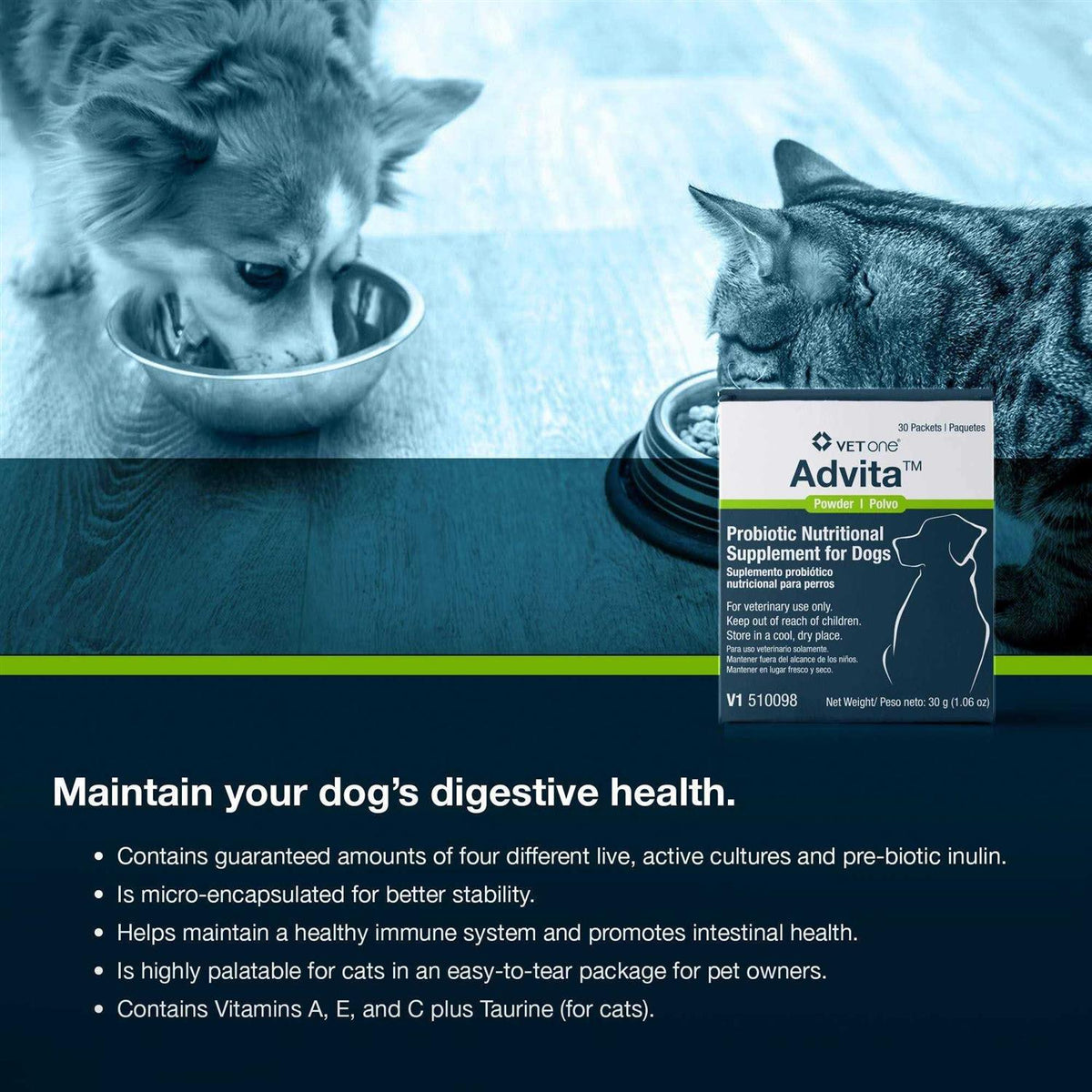 Probiotic Nutritional Supplement for Dogs T64972