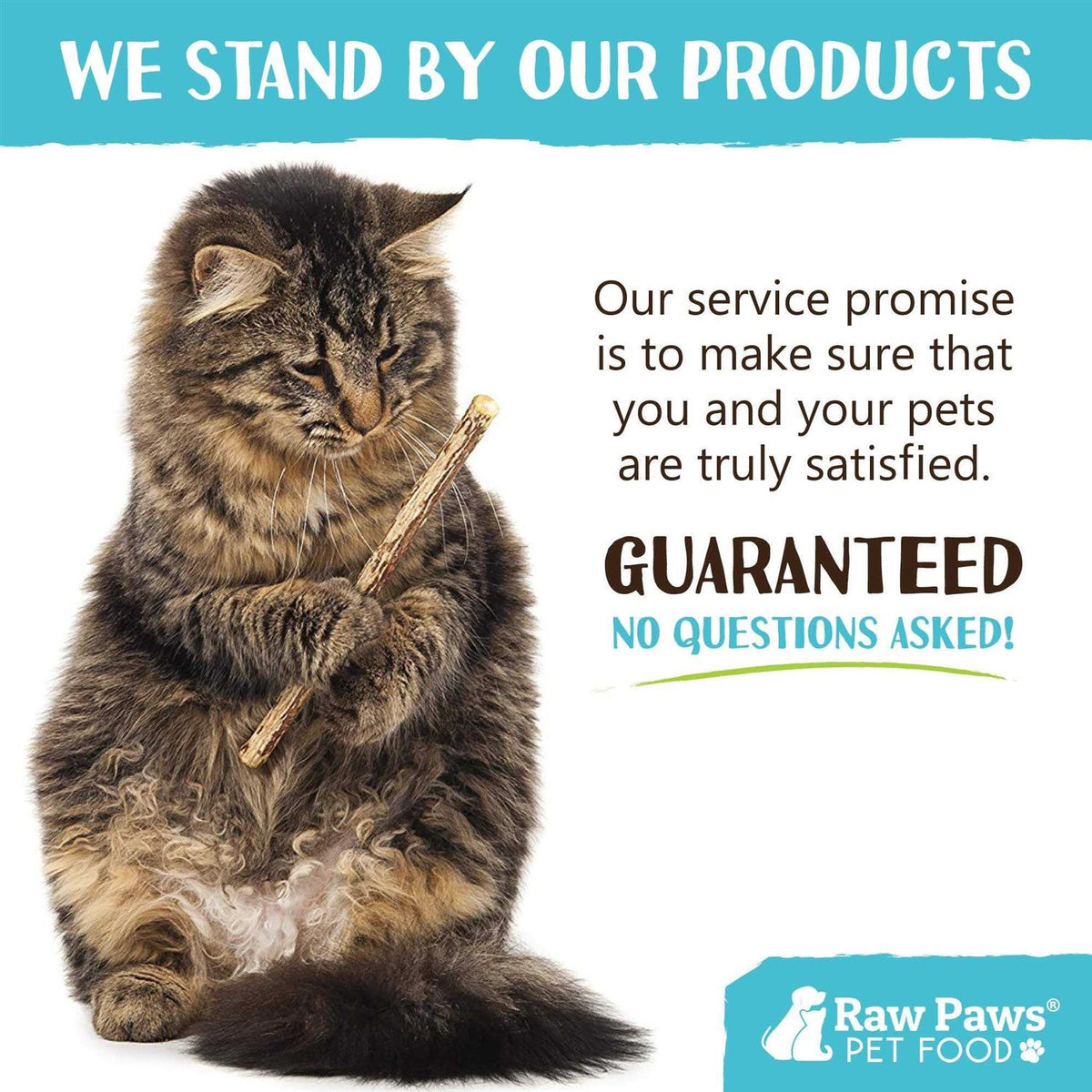 Silvervine Cat Toys J612
