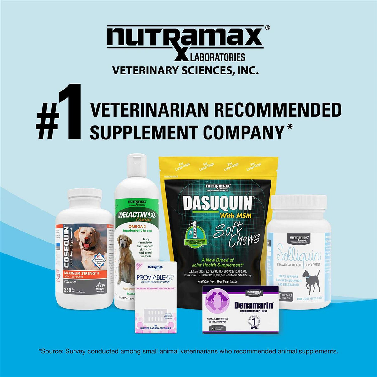 Denosyl Tablets Liver & Brain Supplement for Medium Dogs Q9504