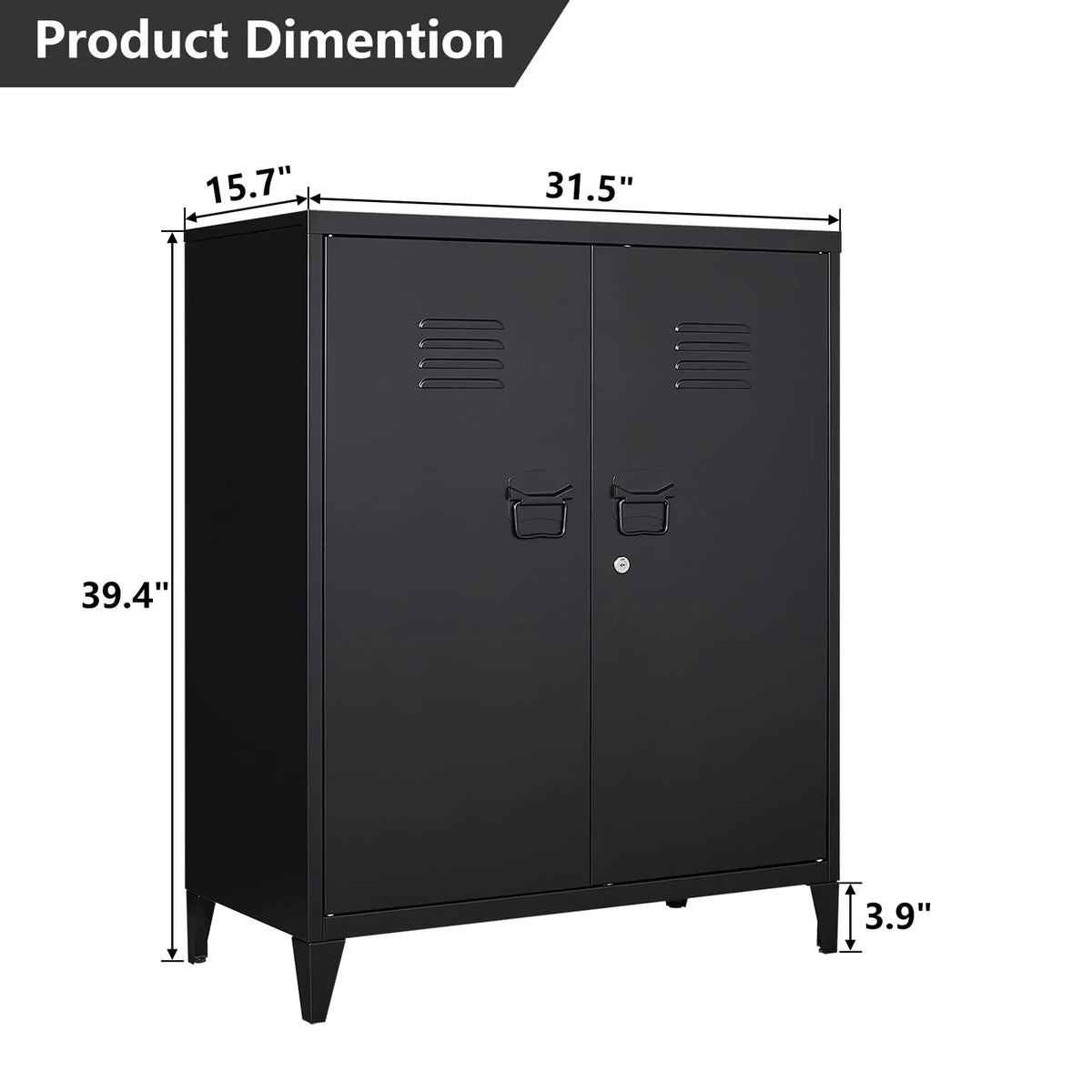 2 Door Metal Accent Cabinet with 2 Shelves, Black S579