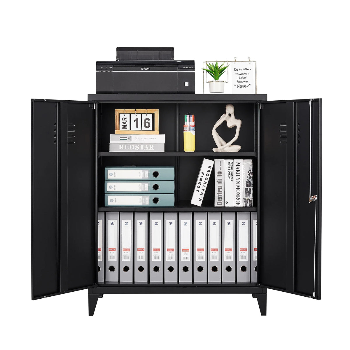 2 Door Metal Accent Cabinet with 2 Shelves, Black S579