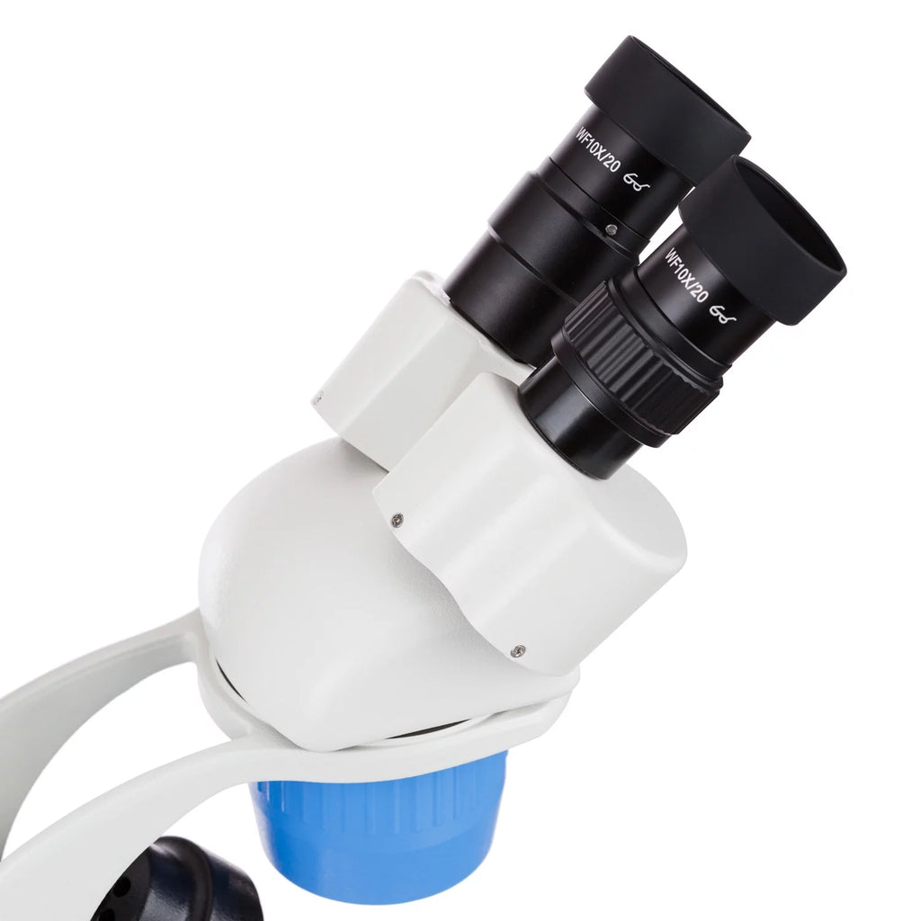 10X-30X Stereo Microscope with Top & Bottom Lights V48479