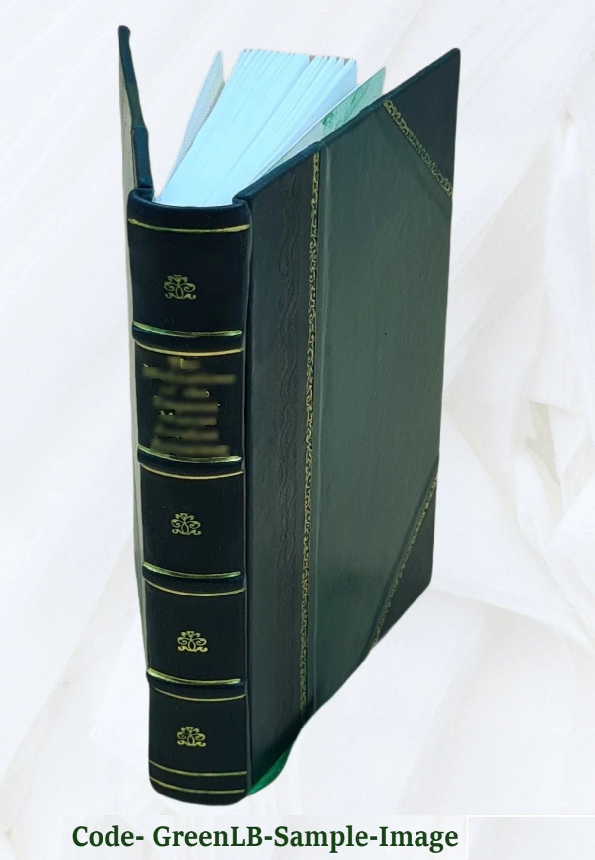 Guarani Language Catechism and Vocabulary Leather Bound Q22413