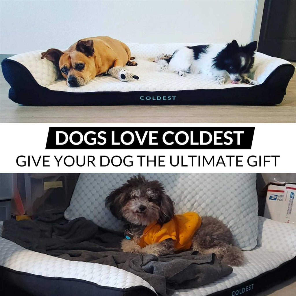 Cooling Medium Dog Bed L821